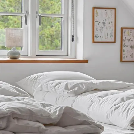 2805-romo-a-hveyselsvej-8