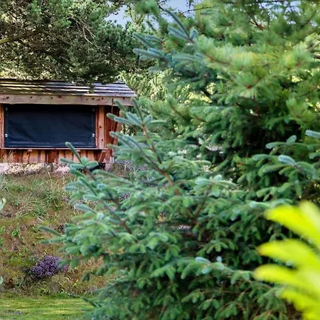 Semesterbostad 2805-romo-a-hveyselsvej-8 *